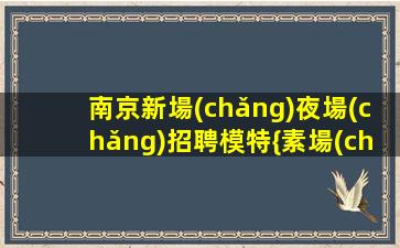南京新場(chǎng)夜場(chǎng)招聘模特{素場(chǎng)}堅(jiān)實(shí)的腳步